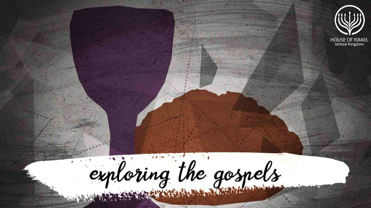 Home-born | Naturalized citizens thoughts