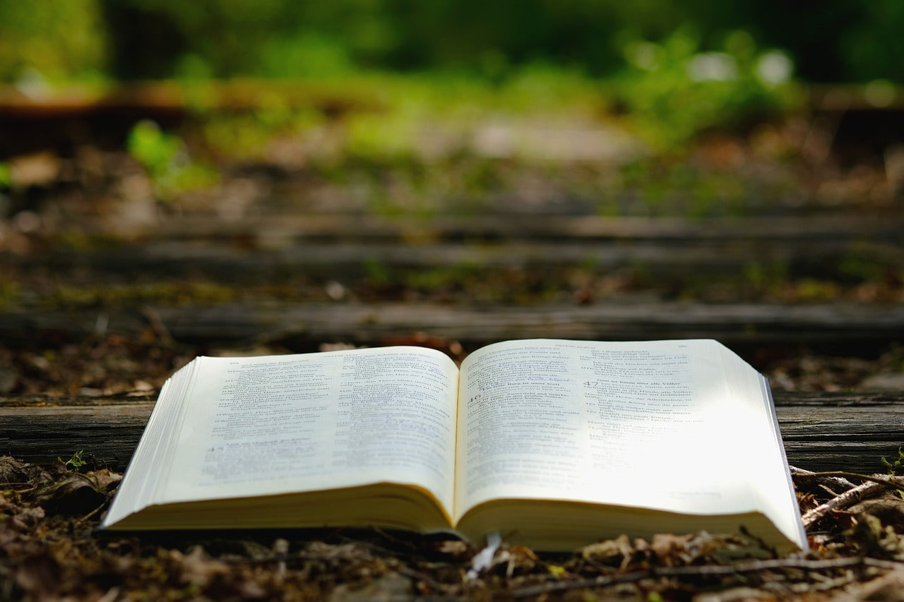 The Unchanging Word: Understanding the Scriptures and Avoiding Misinterpretation