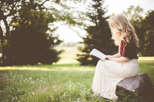 Scriptural Purpose Unveiled: Navigating the Gospels for Life's Wisdom